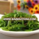 High quality sushi wakame salted seaweed salad