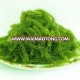 Dried seaweed/ Uni budou/ Caulerpa lentillifera extract