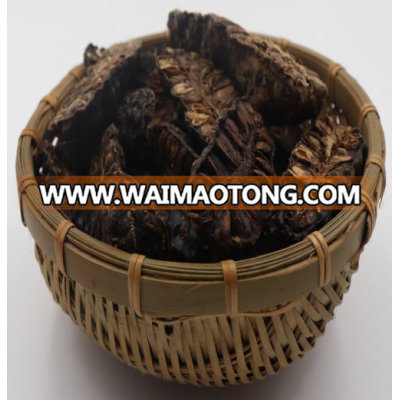 NONI DRIED BY DRYING OVEN, HIGH QUALITY, LOW MOISTURE, NO INSECT