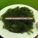 Seagrapes/ Salted seagrape seaweed/ Green caviar